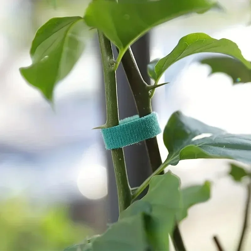 Self Adhesive Plant Nylon Cabl - đánh giá và giá Gear Tie Reusable