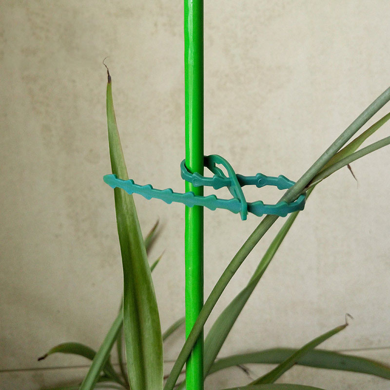 50/100Pcs Reusable Garden Cabl - đánh giá và giá Gear Tie Reusable