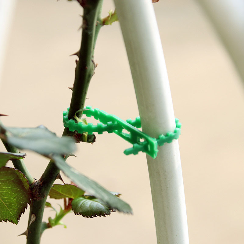50/100Pcs Reusable Garden Cabl - đánh giá và giá Gear Tie Reusable