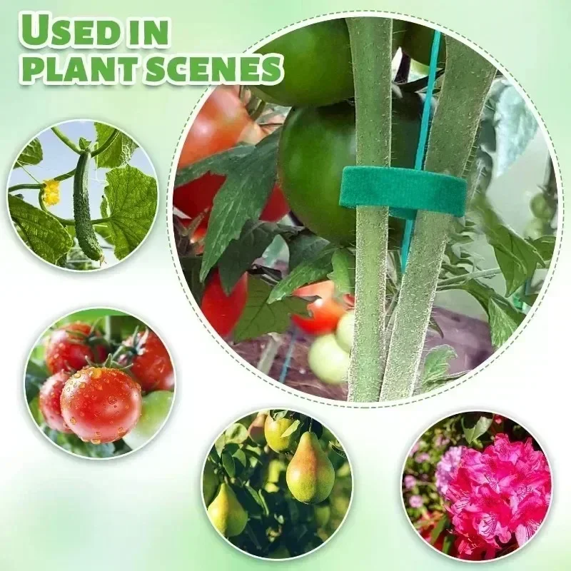 1/100M Adjustable Self Adhesiv - đánh giá và giá Gear Tie Reusable